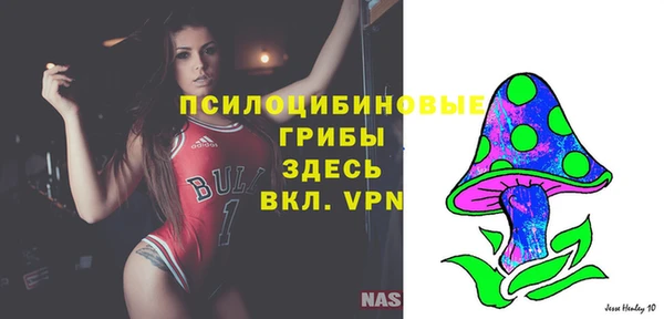 СК Янаул