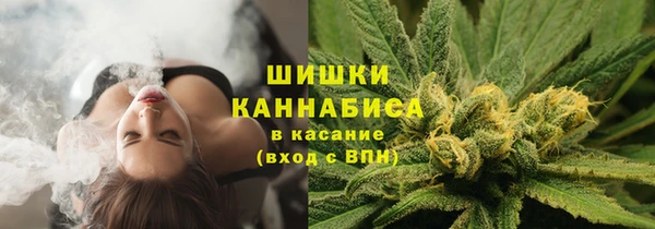 ГАЛЛЮЦИНОГЕННЫЕ ГРИБЫ Беломорск